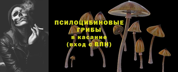 амф Балахна
