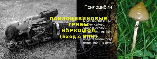 амф Балахна